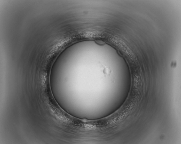 X0000096140592200801251043