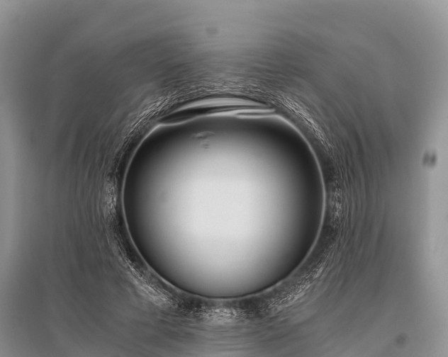 X0000096140593200801251043