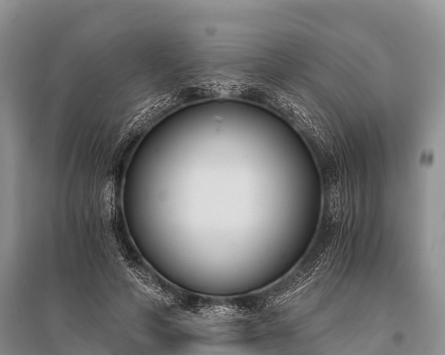 X0000096140594200801251043