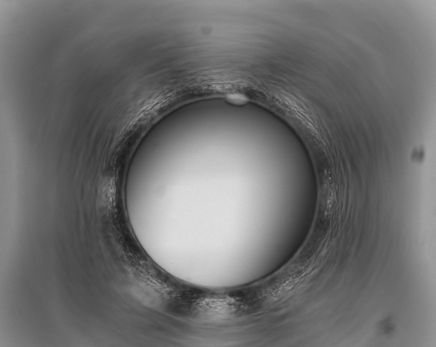 X0000096140595200801251043