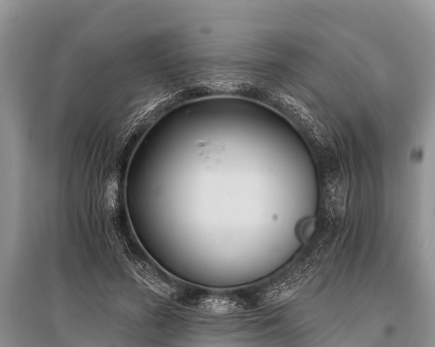 X0000096140596200801251043