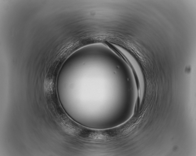 X0000096140597200801251043