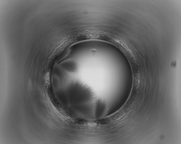 X0000096140598200801251043