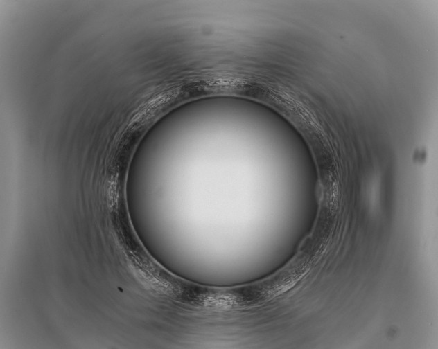 X0000096140599200801251043