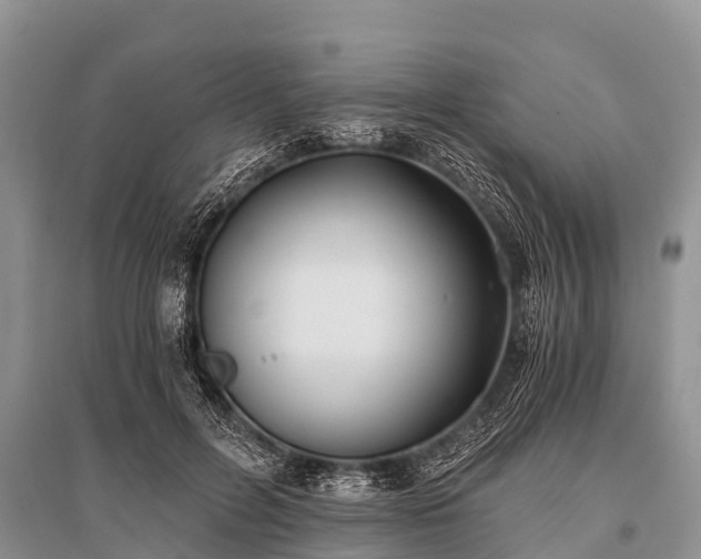 X0000096140600200801251043