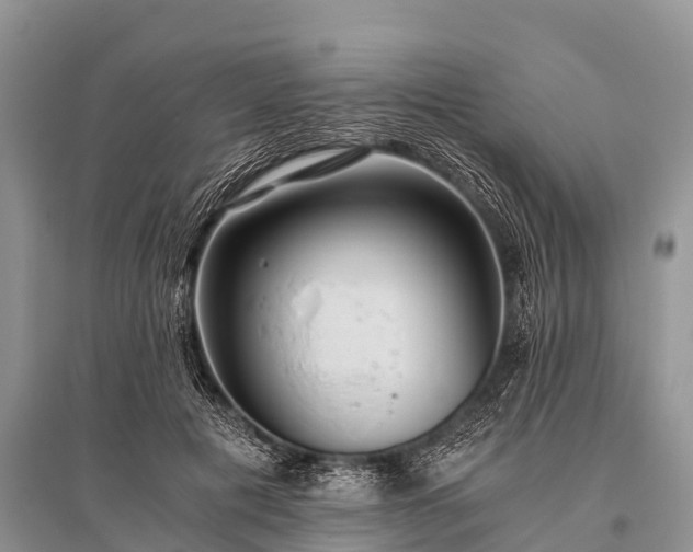 X0000096140601200801251043