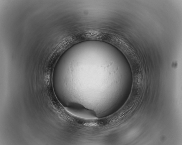 X0000096140602200801251043