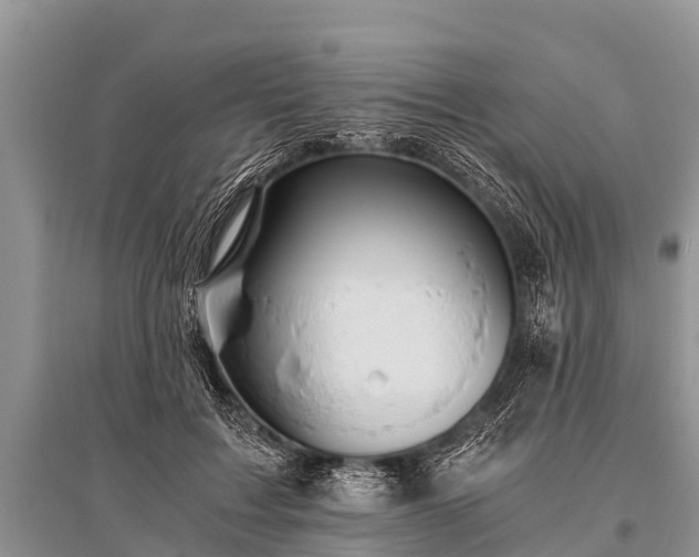 X0000096140603200801251043