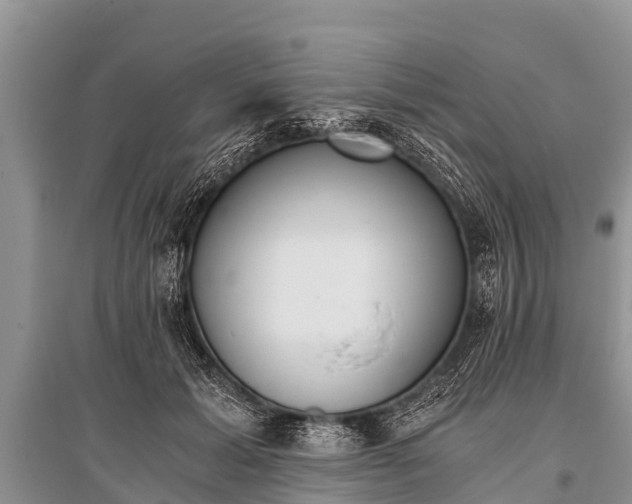 X0000096140605200801251043