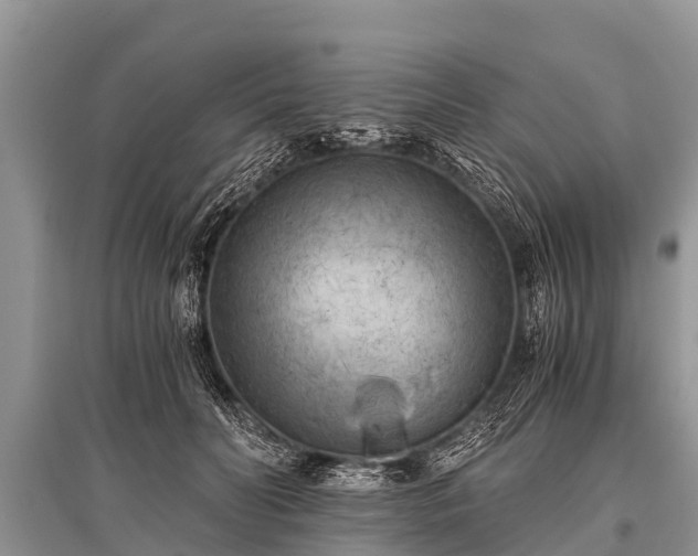 X0000096140606200801251043