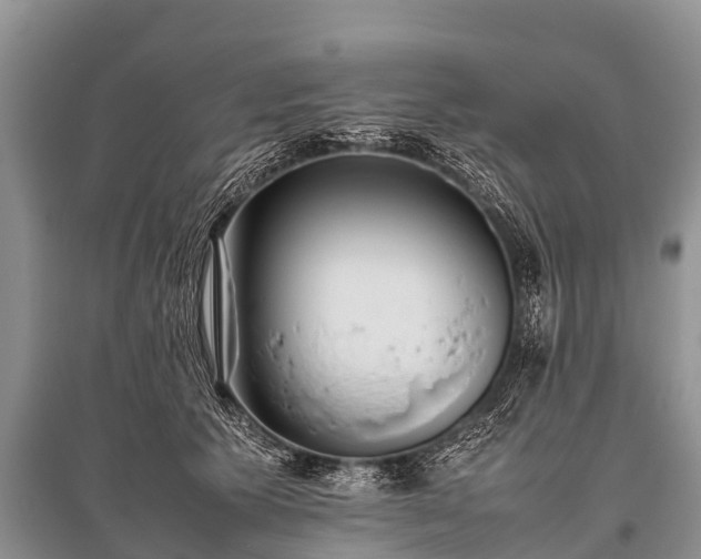 X0000096140609200801251043