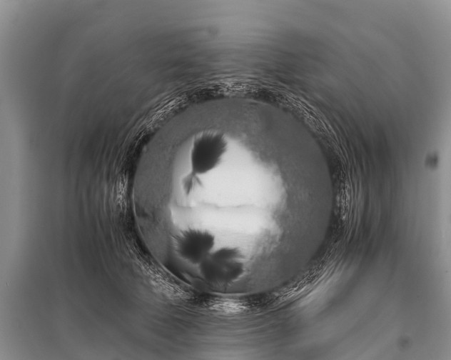 X0000096140610200801251043