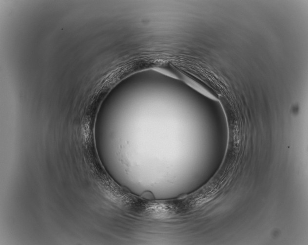 X0000096140611200801251043
