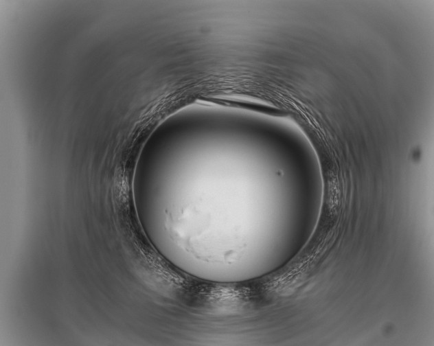 X0000096140613200801251043