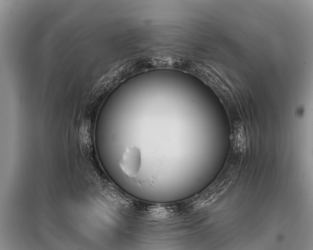 X0000096140616200801251043