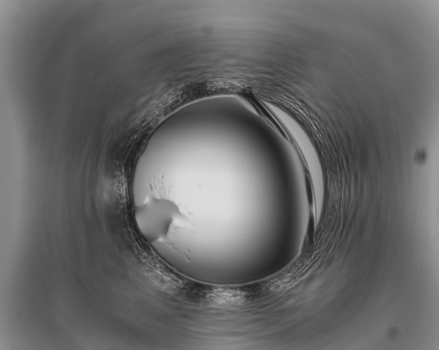 X0000096140617200801251043