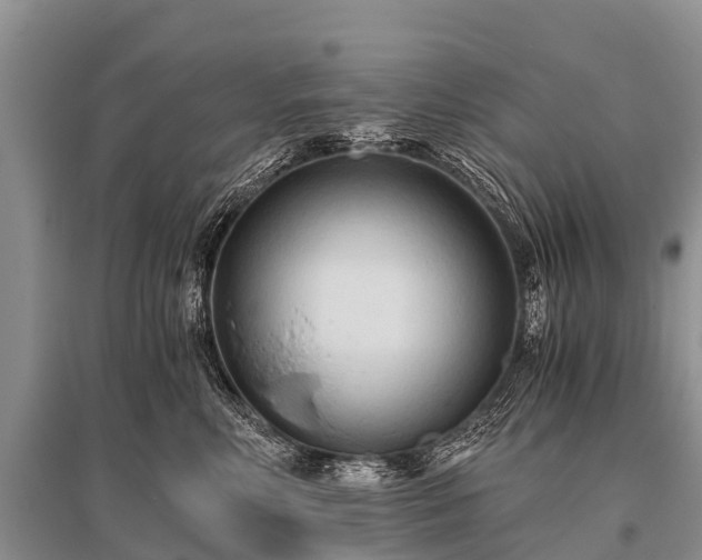 X0000096140618200801251043