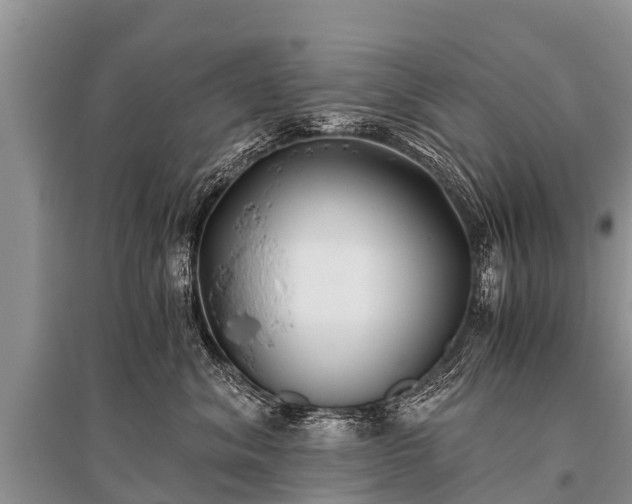 X0000096140620200801251043