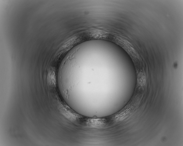 X0000096140622200801251043