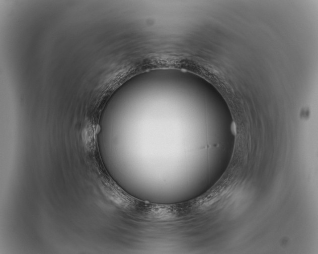 X0000096140624200801251043