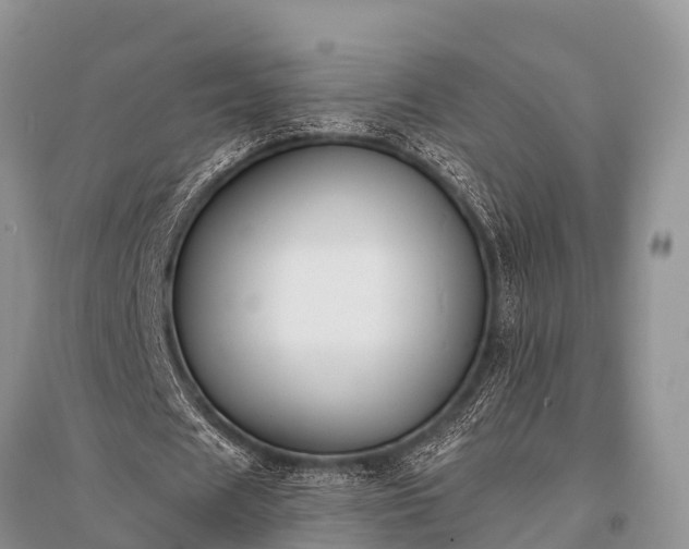 X0000096140625200801251042