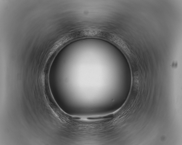 X0000096140626200801251042