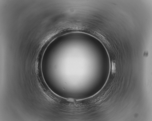 X0000096140627200801251042