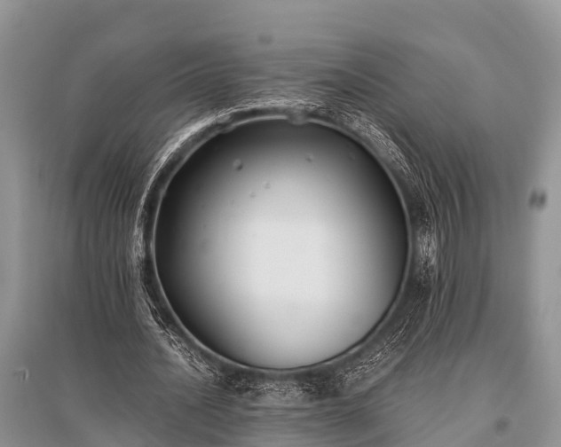 X0000096140628200801251042