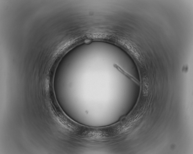 X0000096140631200801251042