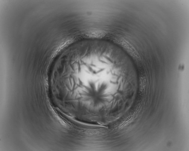 X0000096140634200801251042