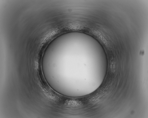 X0000096140635200801251042