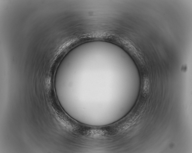 X0000096140636200801251042