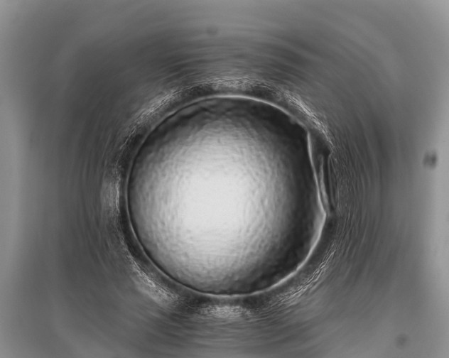 X0000096140637200801251042