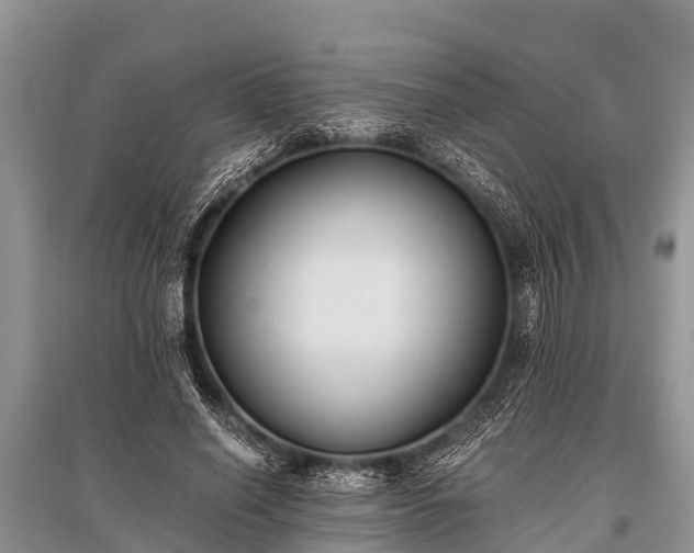 X0000096140638200801251042