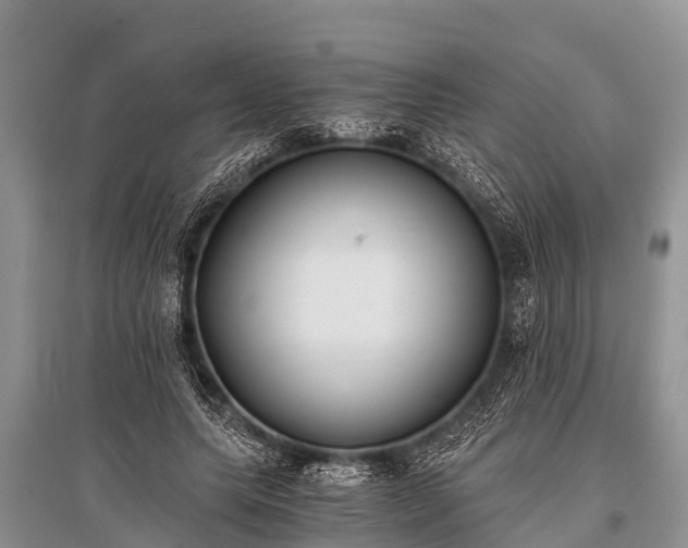 X0000096140639200801251042