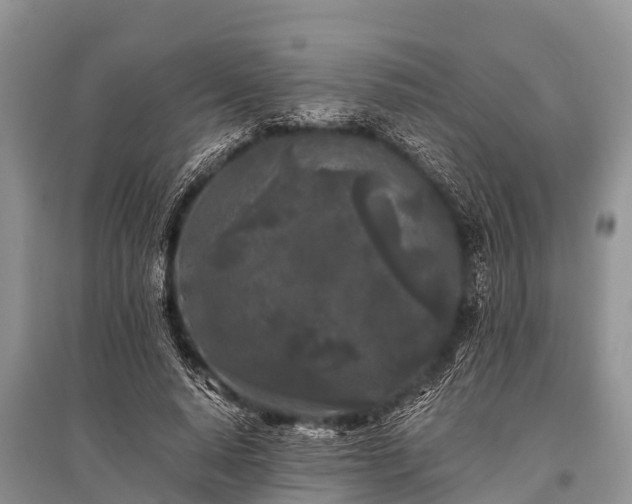 X0000096140640200801251042