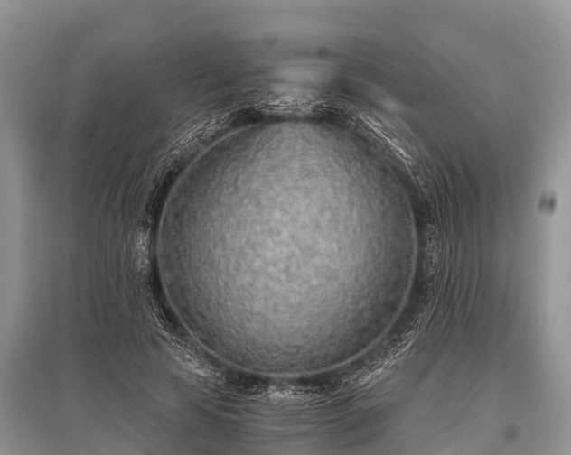 X0000096140641200801251042