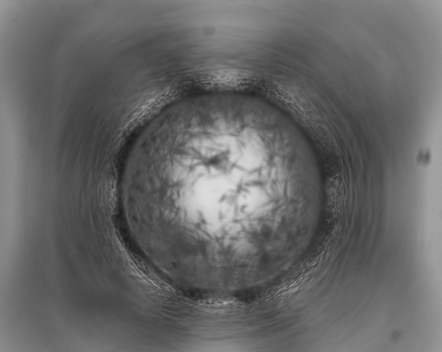 X0000096140642200801251042
