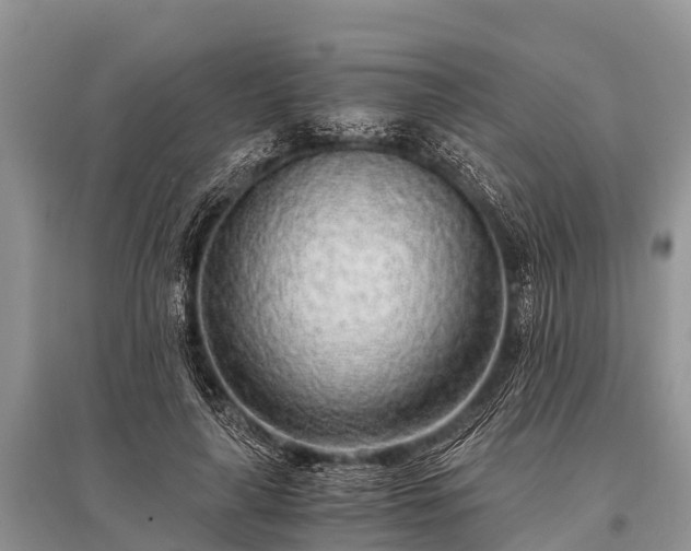 X0000096140643200801251042