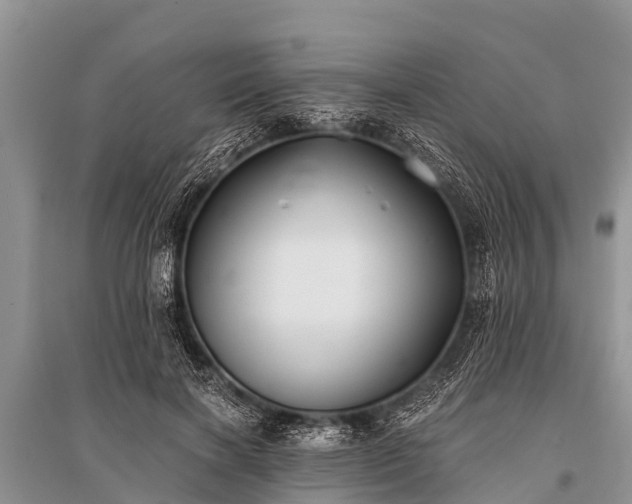 X0000096140646200801251042