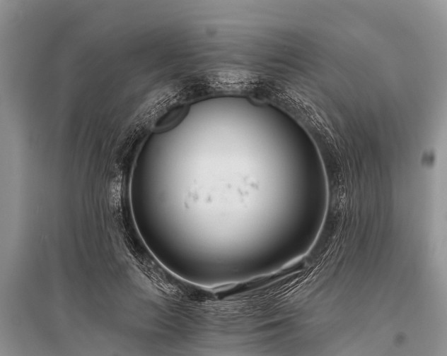 X0000096140647200801251042