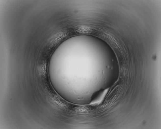 X0000096140652200801251042