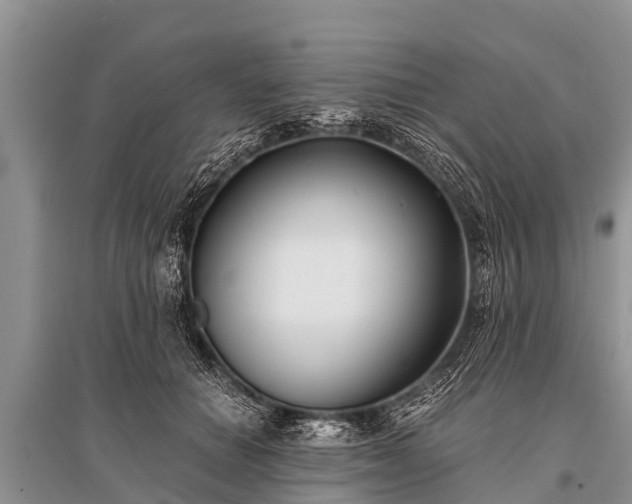 X0000096140654200801251042