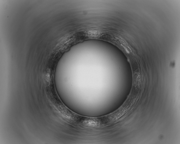 X0000096140655200801251042
