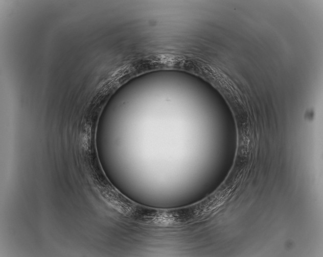 X0000096140656200801251042