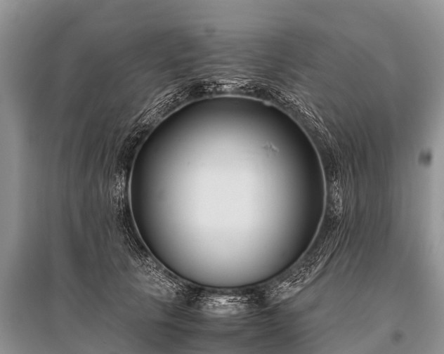 X0000096140657200801251042