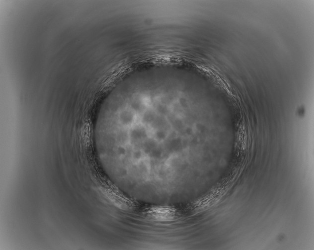 X0000096140659200801251042