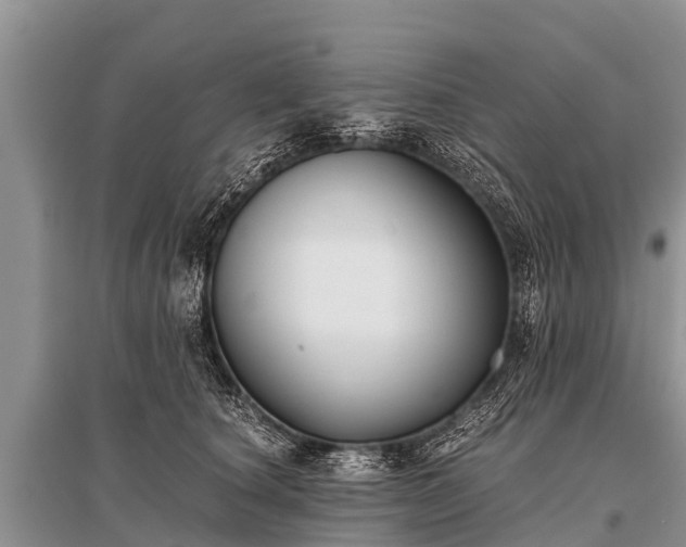 X0000096140660200801251042
