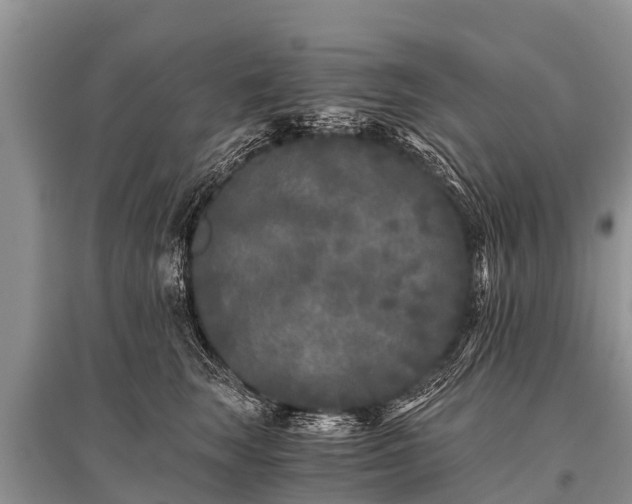 X0000096140663200801251043