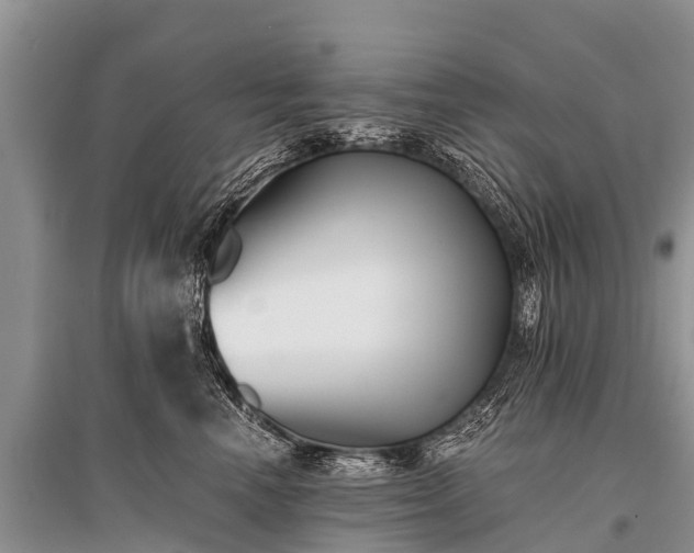 X0000096140666200801251043